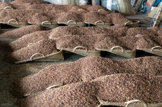 白酒酿造有哪些工艺难点？ 